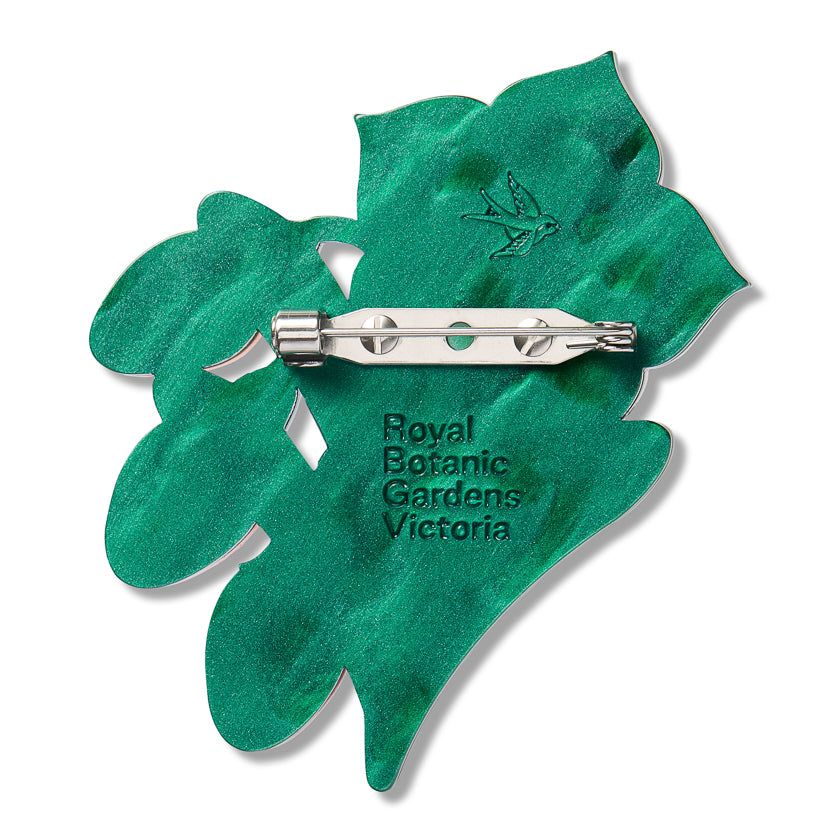 Erstwilder x Royal Botanic Gardens Victoria Kangaroo Apple Brooch