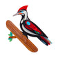 Erstwilder Pete Cromer North America The Persistent Pileated Woodpecker Brooch