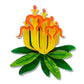 Erstwilder x Royal Botanic Gardens Victoria Long Flower Mistletoe Brooch