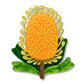 Erstwilder x Royal Botanic Gardens Victoria Mountain Banksia Brooch