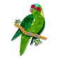 Erstwilder x Royal Botanic Gardens Victoria Musk Lorikeet Brooch