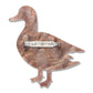 Erstwilder x Royal Botanic Gardens Victoria Pacific Black Duck Brooch