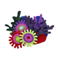 Erstwilder Great Barrier Reef Deep Reef Corals Brooch