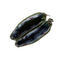 Vendula The Queen Elizabeth Pub Double Zipper Coin Purse