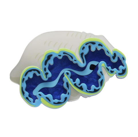 Erstwilder Great Barrier Reef Giant Clam Brooch