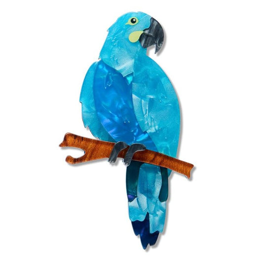 Erstwilder The Rarest Kind Glaucous Macaw Brooch