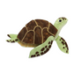 Erstwilder Great Barrier Reef Green Turtle Brooch