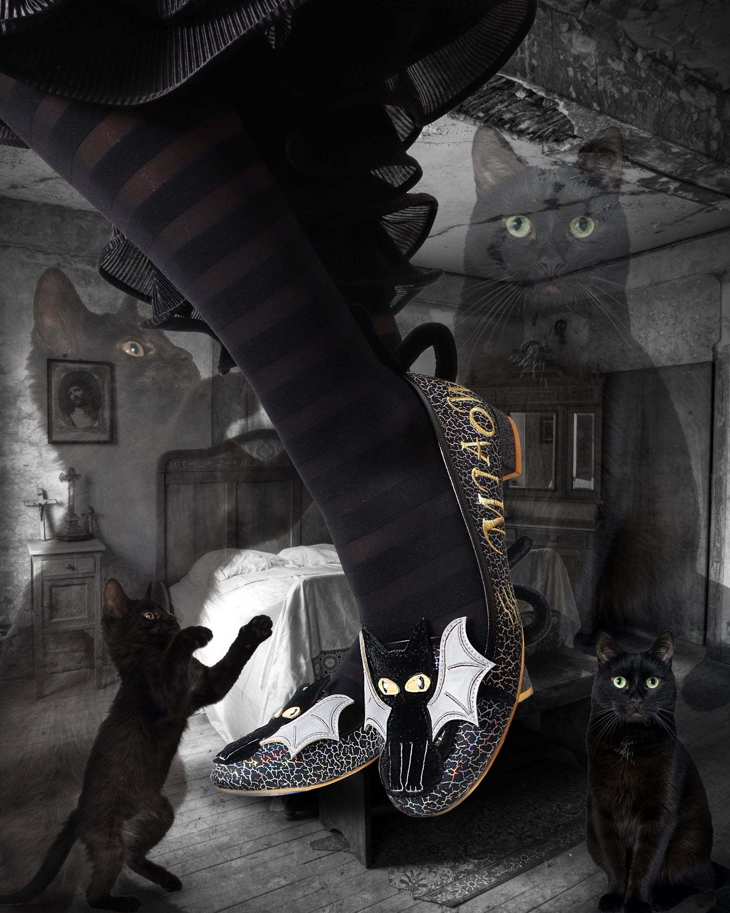 Irregular Choice Scaredy Cat