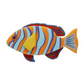 Erstwilder Great Barrier Reef Harlequin Tuskfish Brooch