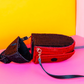 Wicker Darling Our LadyBird The Ladybug Purse