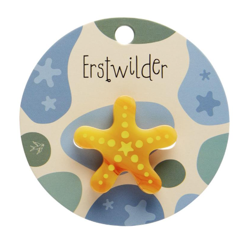 Erstwilder Great Barrier Reef Orange Starfish Simplified Mini Bro