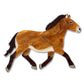 Erstwilder The Rarest Kind Takhi Wild Horse Brooch
